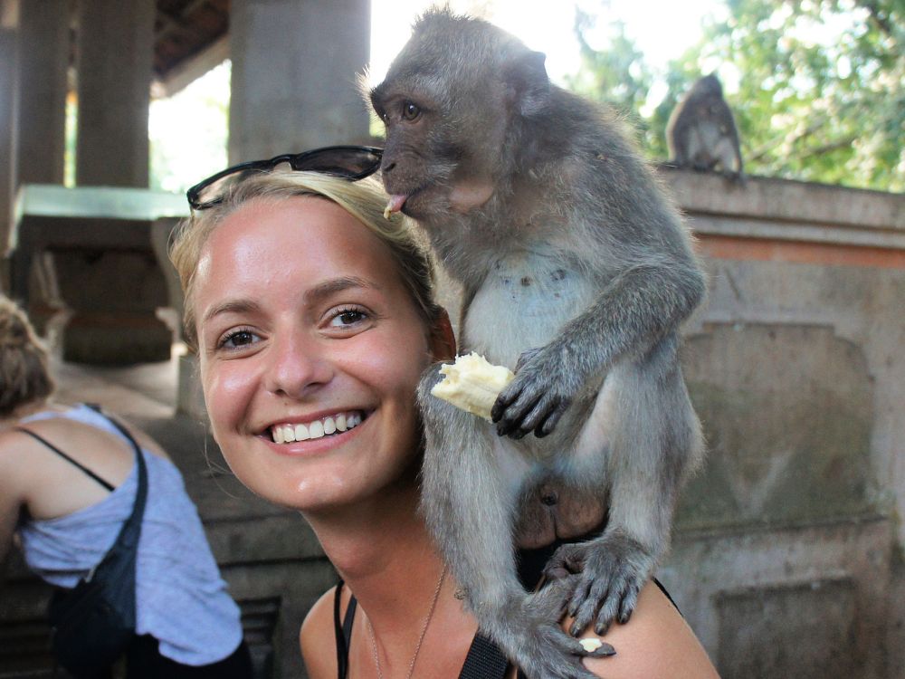 Monkey Forest på Bali